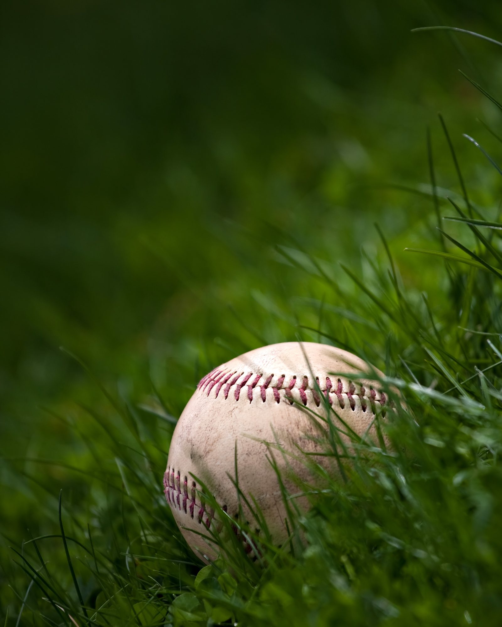 Buffalo Schools Launch Wrestling, Baseball, Softball Programs Before Sectionals Push