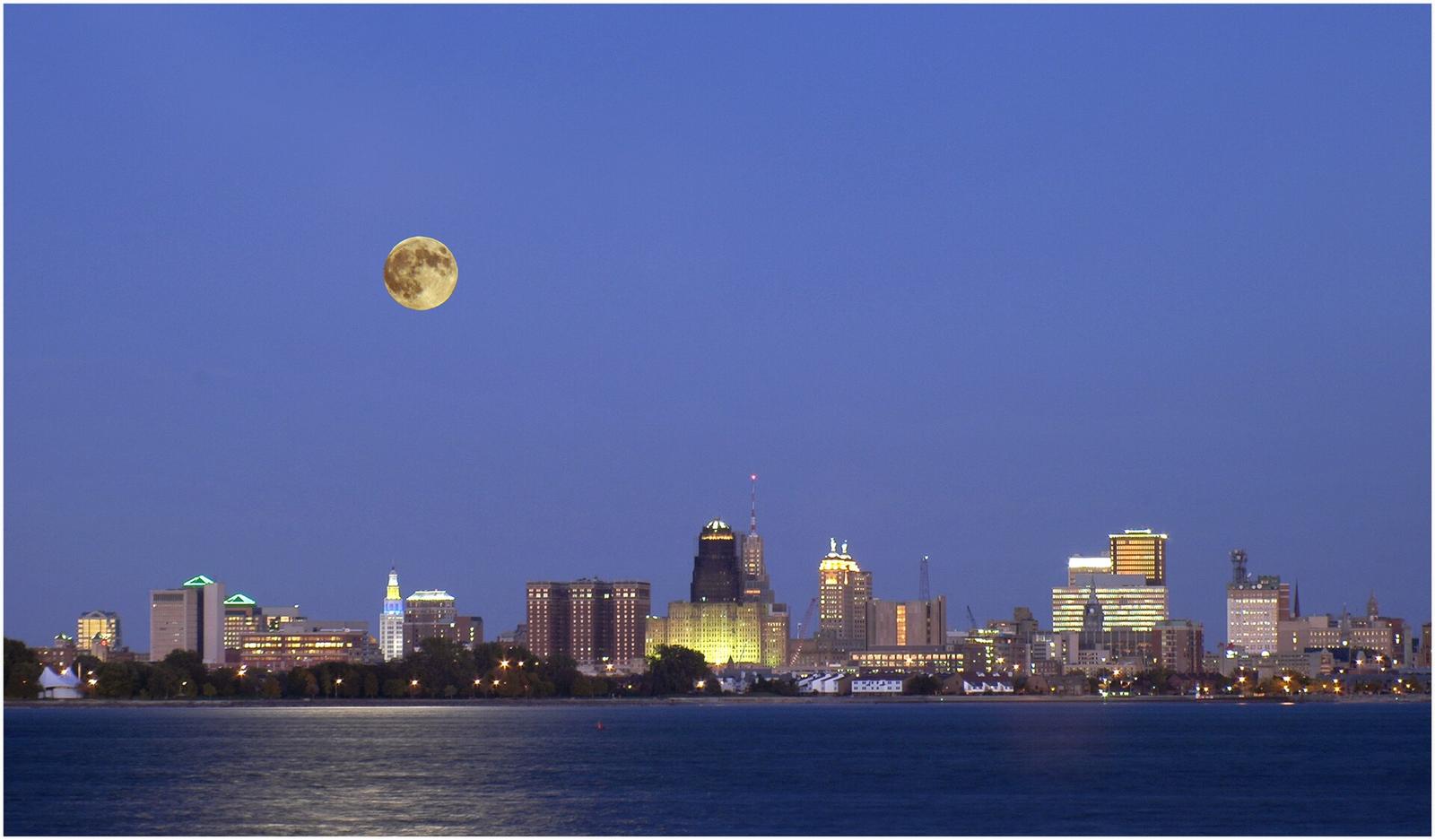 Buffalo Weekend: Live Music, Gardens, and Butterflies Await July 18-19